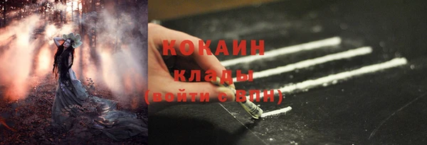 дмт Лагань