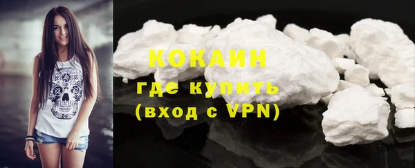 дмт Лагань