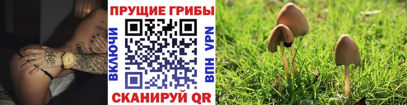 как найти наркотики  Тетюши  ссылка на мегу ONION  Псилоцибиновые грибы GOLDEN TEACHER 